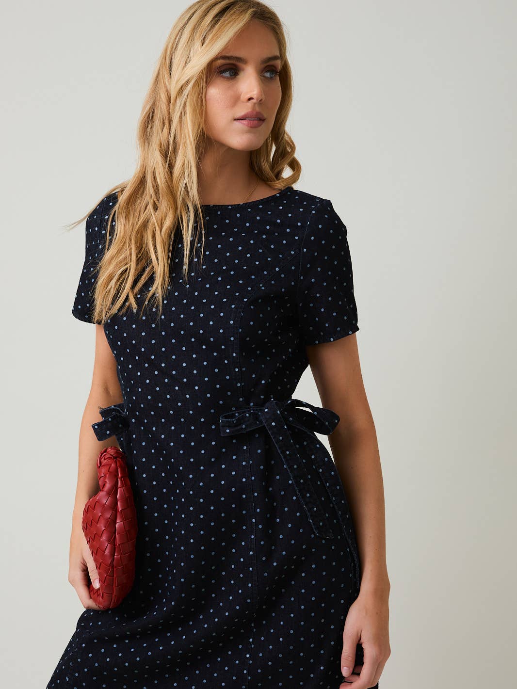 The Meadow Dot Dress
