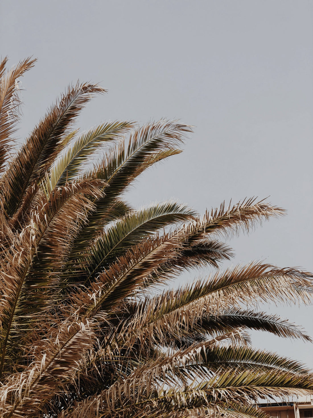 No-Sky July & Fogust: My Go-To Layers for California’s Moody Summers